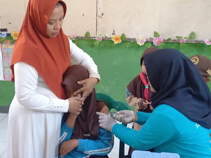 BIAS SD NEGERI 2 ALASMALANG